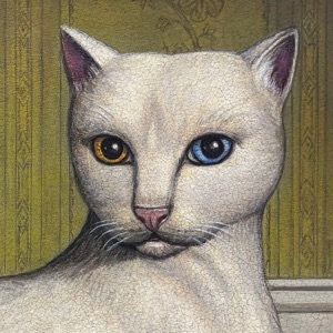 Album cover of Nothing's About to Happen to Me by Mitski: a white cat with one amber and one blue eye